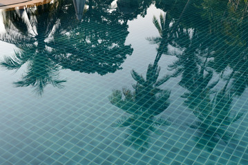 Reflection of palm trees and beach umbrellas in the pool in the morning light
