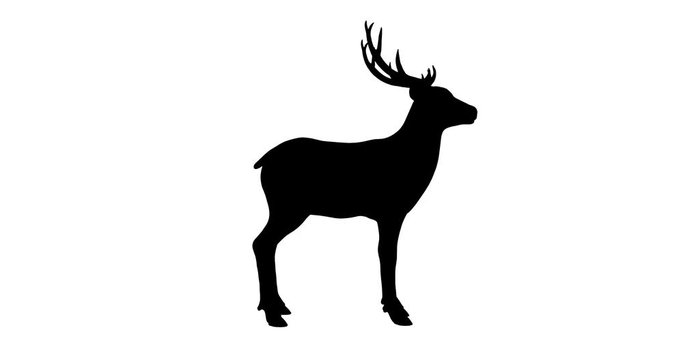 Deer silhouette. Turntable animation.