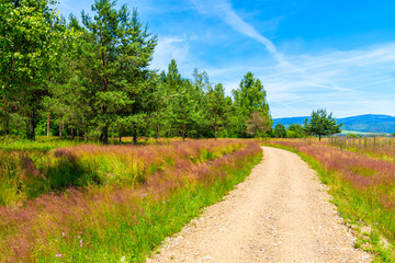 Fototapeta na wymiar Cycling road around Tatra Mountains and summer green landscape, Poland