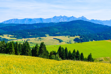 View of Tatra Mountains and green fields on summer day, Poland
