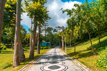 Wedding Photography in Yildiz Park