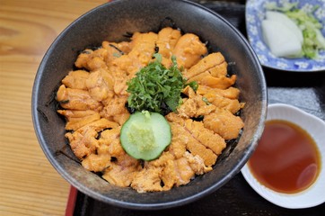 Unidon that sea chestnut on the rice bowl