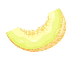 Quarter melon. Vector illustration on white background.