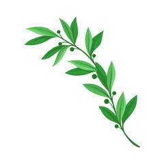 Branch with leaves and berries. Vector illustration on white background.
