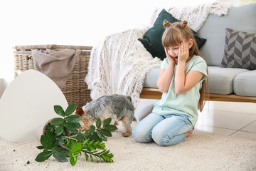 Cute little girl with dog and dropped houseplant on carpet