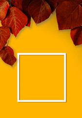 Orange color background with red leaves. Background material, message board etc. Created in poster size.  赤色の葉とオレンジ色の背景素材。背景素材、メッセージボードなど。ポスターサイズで作成。