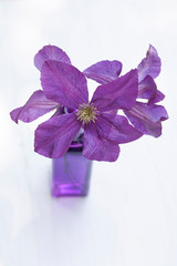 Purple Clematis Flowers In A Vase