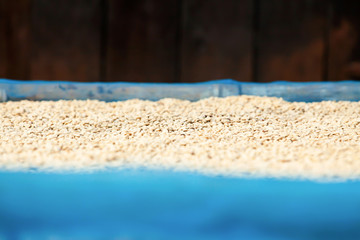 Coffee beans lay on fabric for natural drying.
