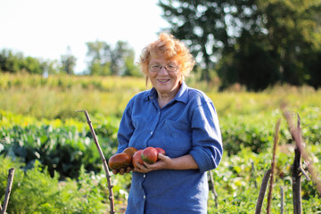 portrait of old woman working in the garden 