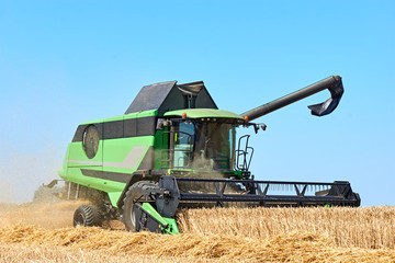 Fototapeta premium Green combine harvester machine harvesting wheat on a wheat field in summer. Sunny blue sky and copy space. 