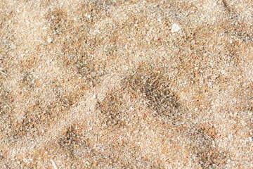 Sand texture on the beach closeup. Natural abstract background