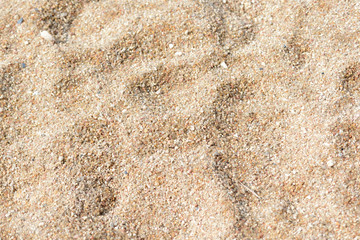 Sand texture on the beach closeup. Natural abstract background