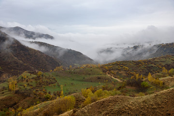 Mountains shrouded in mist in the season of golden autumn on a cloudy day, view of the gorge from the top of the mountain.