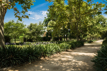 Jardines del Real, Jardin de Viveros - public park in Valencia, Spain. Summer Holiday. Captured in a sunny day.