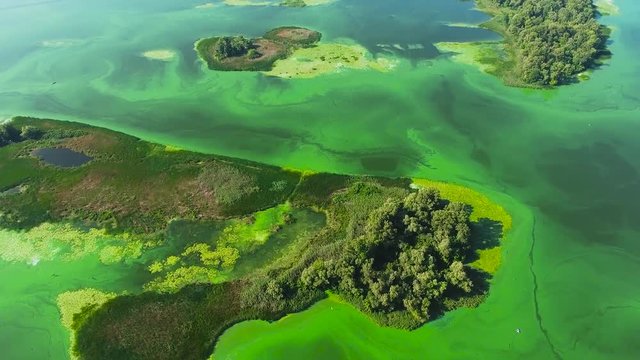 aerial of islands on wide river polluted with green algae