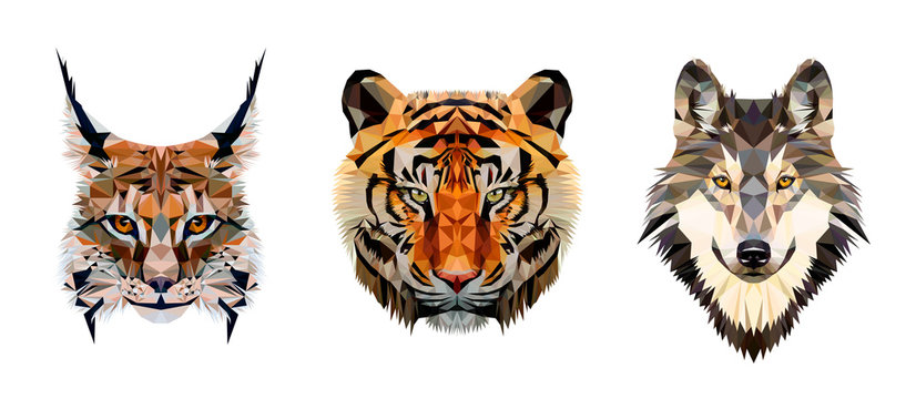 Low poly triangular tiger, lynx and wolf heads on white background, vector illustration isolated.  Polygonal style trendy modern logo design. Suitable for printing on a t-shirt.