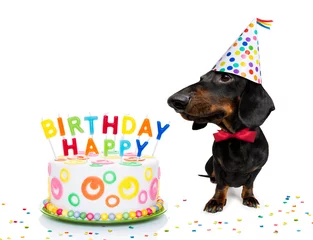 Papier Peint photo Lavable Chien fou joyeux anniversaire chien