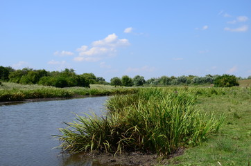 Summer landscape with lake in the field and blue sky.