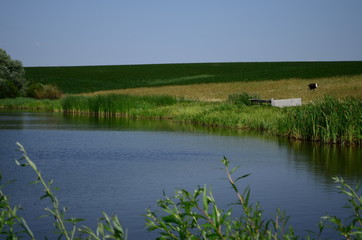 Summer landscape with lake in the field and blue sky.