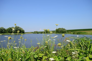 Summer landscape with lake in the field and blue sky.