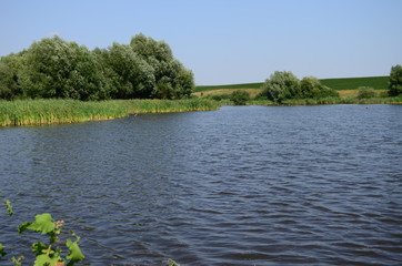 Summer landscape with lake in the field and blue sky.