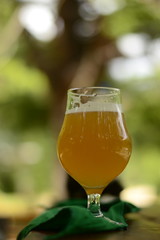 glass of beer