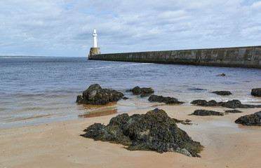 Fototapeta na wymiar Seaweed covered rocks on Torry Beach in Aberdeen, with the harbour Breakwater and navigational light in the background.