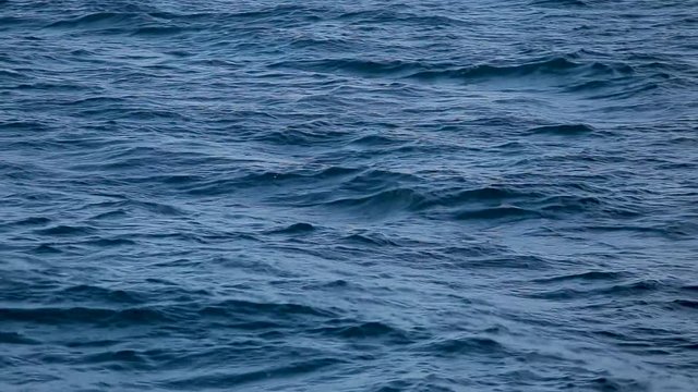 Video background of dark blue aqua sea water surface splashing outside. Real time full hd  footage.