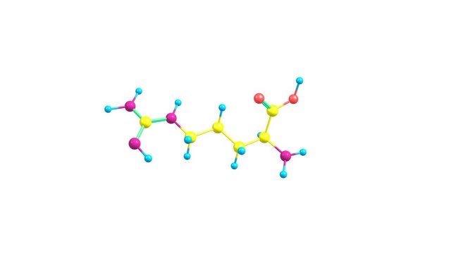 Rotating isolated arginine amino acid molecule