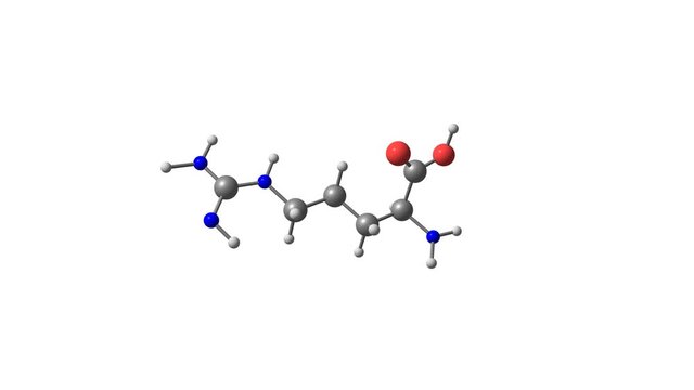 Rotating isolated arginine amino acid molecule
