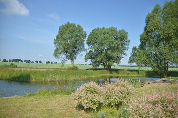 Natura