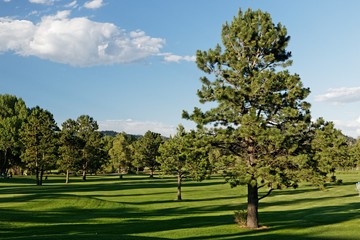 Fototapeta na wymiar view over golf course in Estes Park Colorado