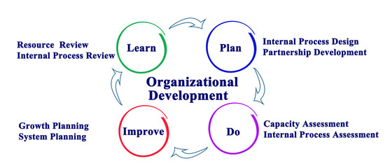Fototapeta na wymiar Components of Organizational Development