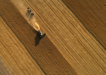 Aerial view of a combine and tractor with siding working in field. Agriculture machine gathers the wheat at sunset.  Harvesting golden ripe wheat field. Czech agriculture. Diagonal lines. From above.
