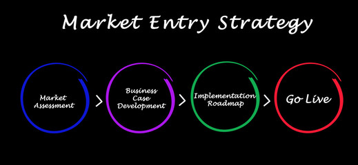 Components of Market Entry Strategy - obrazy, fototapety, plakaty