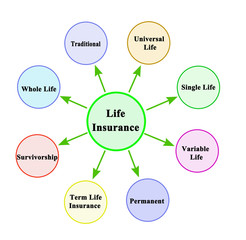 Eight types of life insurance
