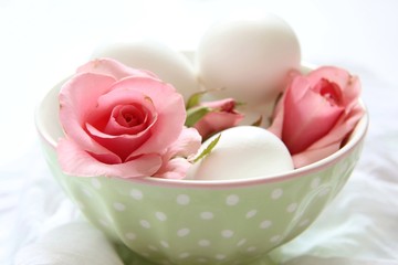 pink rose and eggs in a bowl on white background