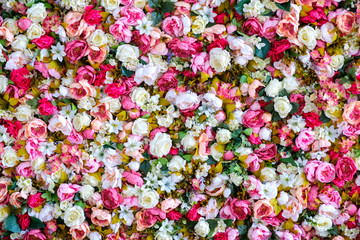 Peonies Flowers Background. Colorful background. Many flowers.