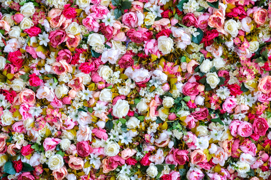 Peonies Flowers Background. Colorful background. Many flowers.