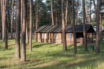 Holiday houses in a pine forest. Summer resort.  Sulejow, Poland