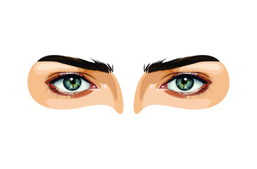 vector Realistic blue eye with eyelashes on white background