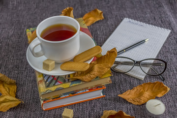 Cup of fragrant hot tea among yellow leaves on a plaid.