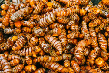 Fresh turmeric for sale in market, close-up.