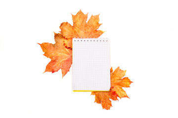 Empty notepad for writing or for a wish list on an autumn background of colored maple leaves isolated on white.