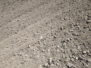 Full frame view of plowed agriculture field naked light brown soil with rotary blade tracks.