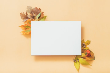 Autumn greeting card. White mockup paper sheet with faded floral decoration on pastel peach...