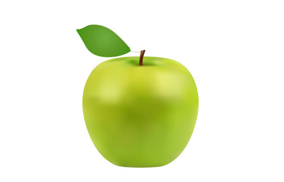 fresh green apple, healthy fruit, vector illustration