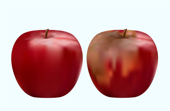 good and spoiled red apple, vector illustration