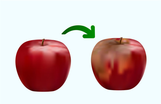 rotten red apple, fresh red apple, closeup drawing
