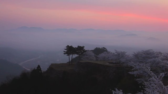 View of blooming trees in mountains, Asago, Hyogo Prefecture, Japan